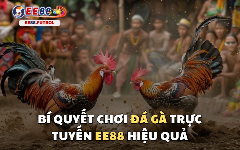 Bí quyết giúp anh em chơi đá gà trăm trận trăm thắng tại EE88