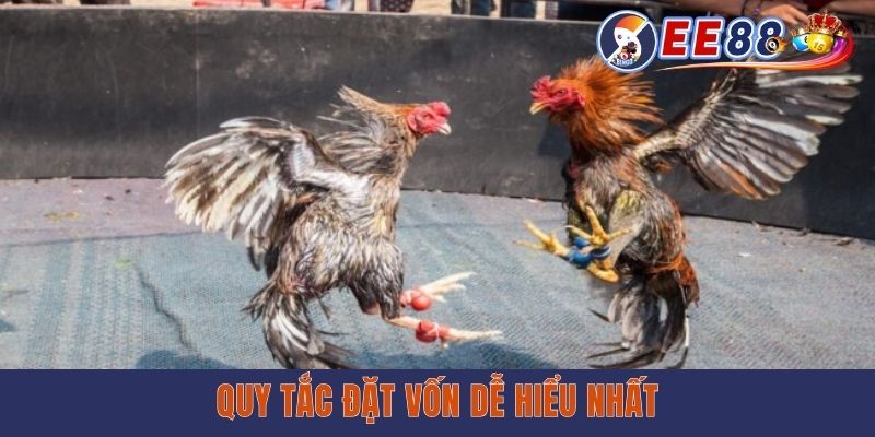 Hướng dẫn theo dõi trực tiếp Đá Gà Philippines trên EE88